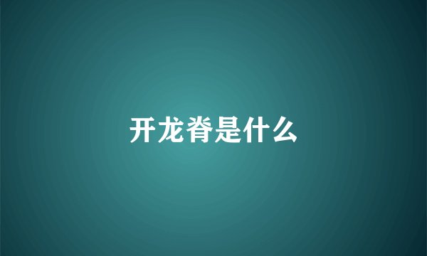 开龙脊是什么