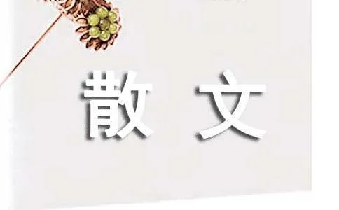 心爱的姑娘就要嫁人了散文