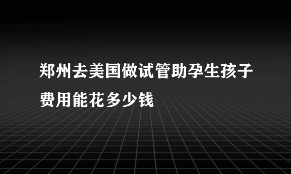 郑州去美国做试管助孕生孩子费用能花多少钱
