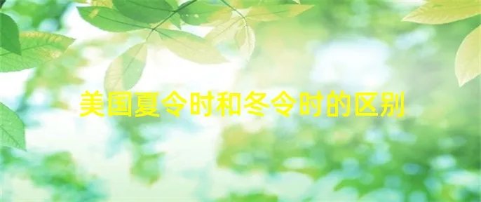 美国夏令时和冬令时的区别
