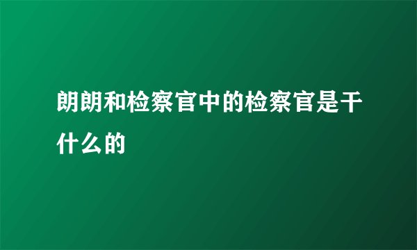 朗朗和检察官中的检察官是干什么的