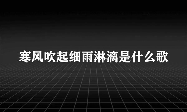 寒风吹起细雨淋漓是什么歌