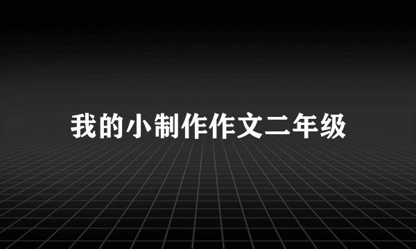 我的小制作作文二年级