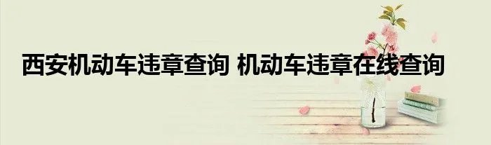 西安机动车违章查询 机动车违章在线查询