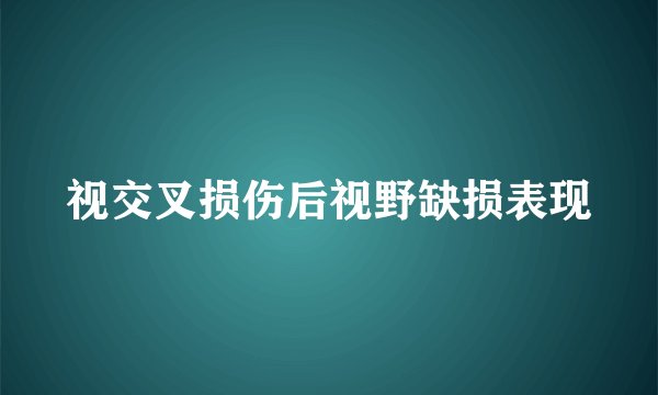 视交叉损伤后视野缺损表现