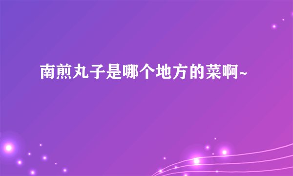 南煎丸子是哪个地方的菜啊~