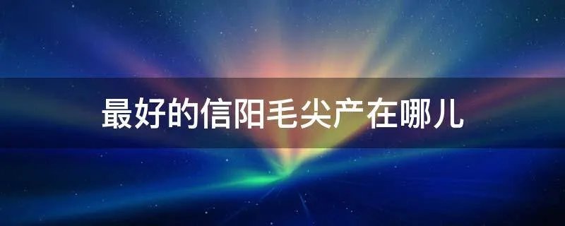 最好的信阳毛尖产在哪儿