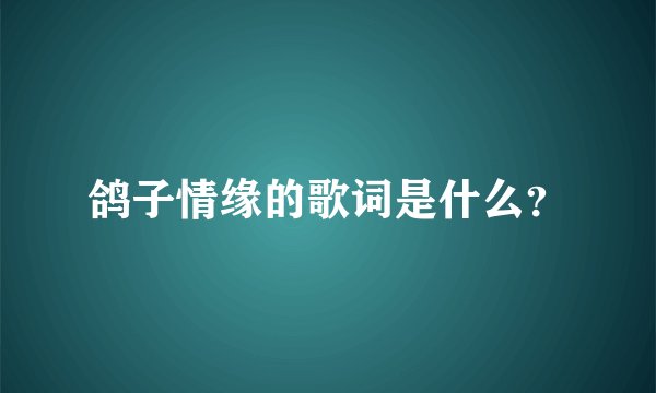 鸽子情缘的歌词是什么?