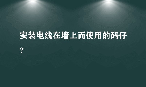 安装电线在墙上而使用的码仔？