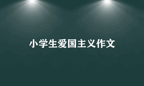 小学生爱国主义作文