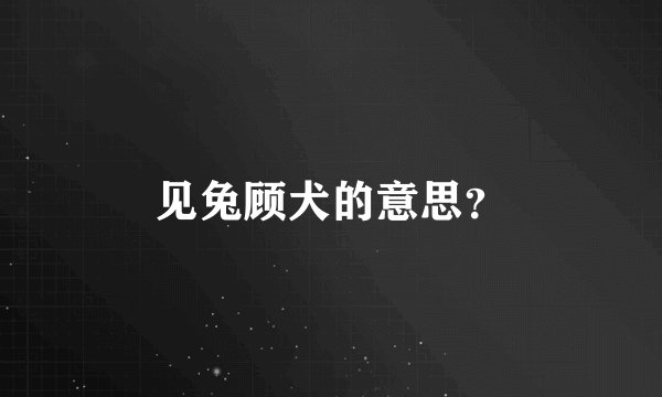 见兔顾犬的意思？