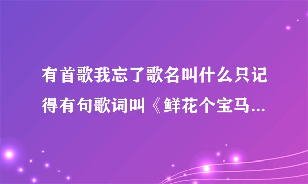 有首歌我忘了歌名叫什么只记得有句歌词叫《鲜花个宝马变成的诱惑》是首DJ歌是个男的唱的。