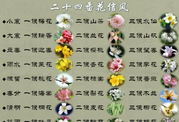 二十四番花信风是什么意思?