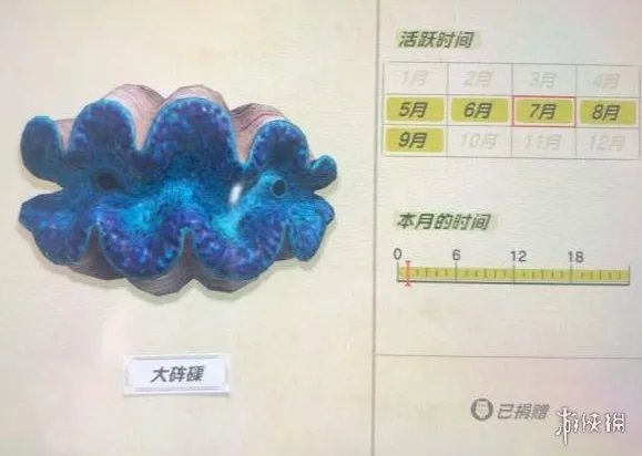 《集合啦动物森友会》海洋生物有哪些?海洋生物价格图鉴