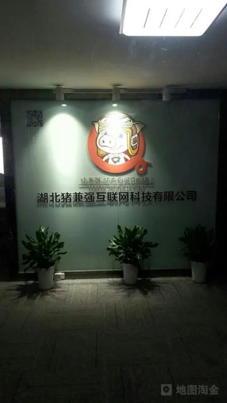 导致知名驾校猪兼强破产的原因是什么?