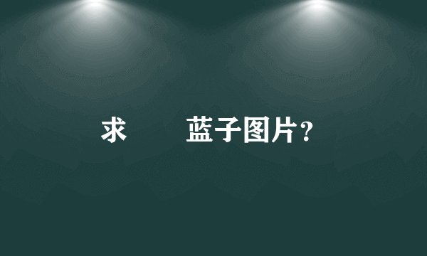 求広瀬蓝子图片？