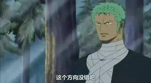 有哪些动漫是你一直坚持看下来的?