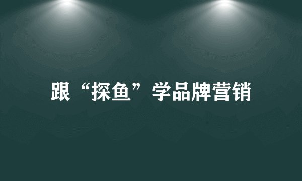 跟“探鱼”学品牌营销