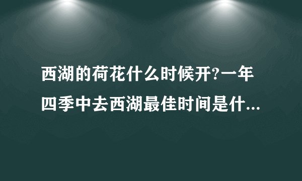 西湖的荷花什么时候开?一年四季中去西湖最佳时间是什么时候？