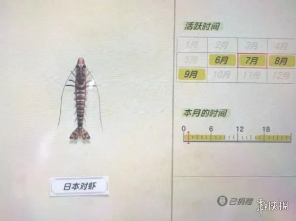 《集合啦动物森友会》海洋生物有哪些?海洋生物价格图鉴