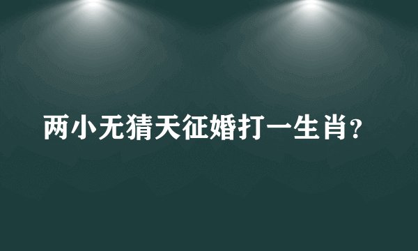 两小无猜天征婚打一生肖？