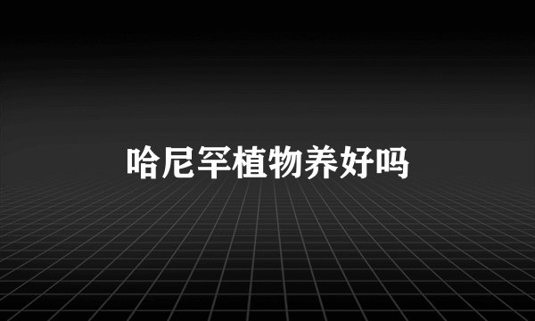 哈尼罕植物养好吗