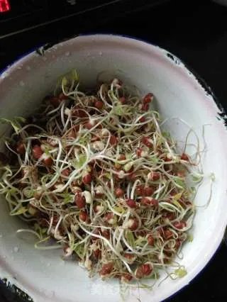 相思豆