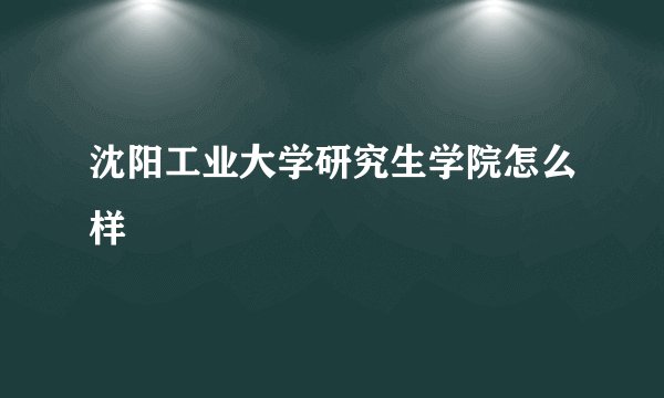 沈阳工业大学研究生学院怎么样