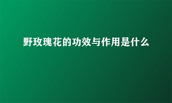 野玫瑰花的功效与作用是什么
