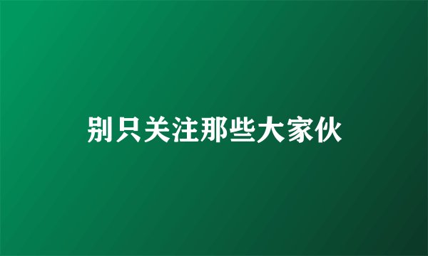 别只关注那些大家伙