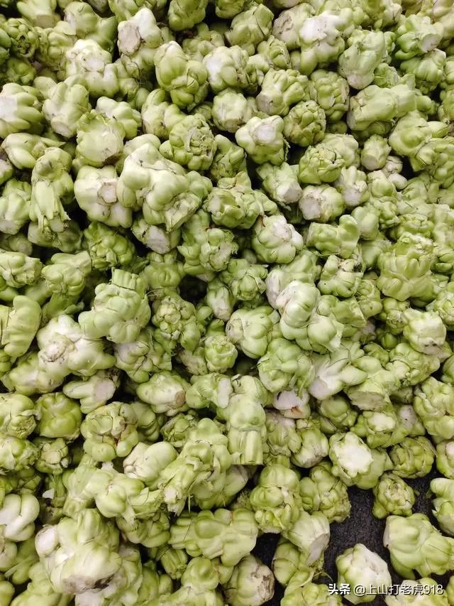 涪陵榨菜什么牌子的好?