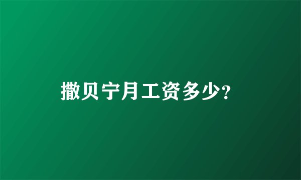 撒贝宁月工资多少？