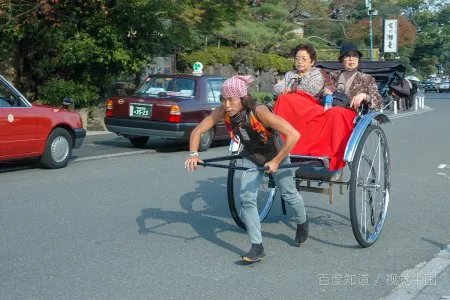 骆驼祥子为什么开头要写老车夫们的各种命运悲惨呢？