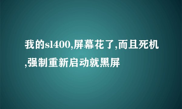 我的sl400,屏幕花了,而且死机,强制重新启动就黑屏