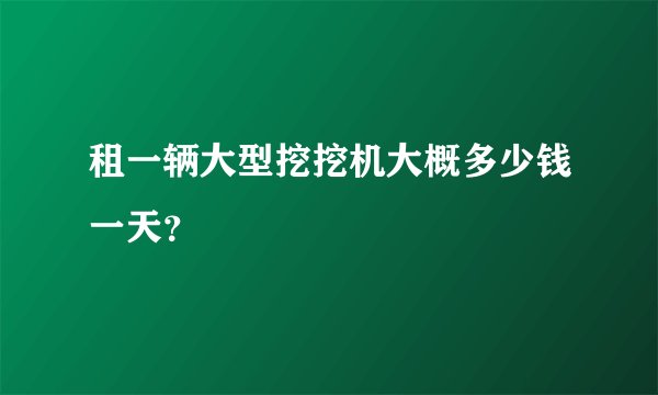 租一辆大型挖挖机大概多少钱一天？