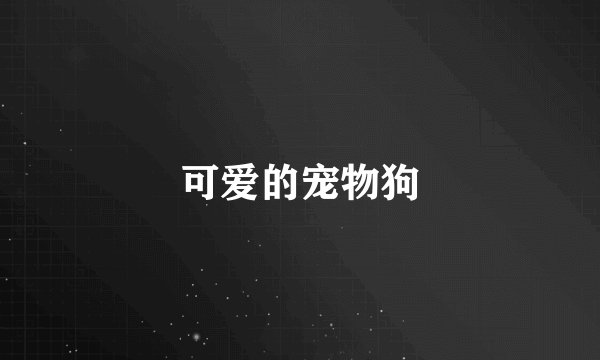 可爱的宠物狗