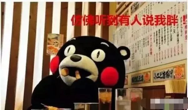 范丞丞快速减肥方法