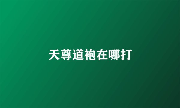 天尊道袍在哪打