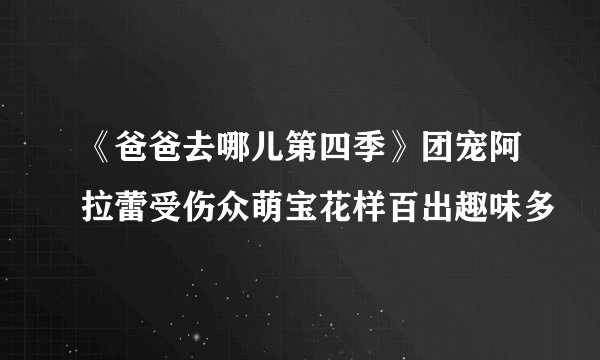《爸爸去哪儿第四季》团宠阿拉蕾受伤众萌宝花样百出趣味多