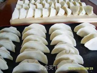 圆白菜水饺