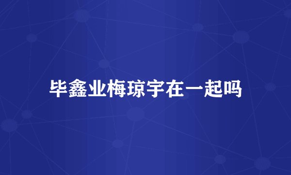 毕鑫业梅琼宇在一起吗