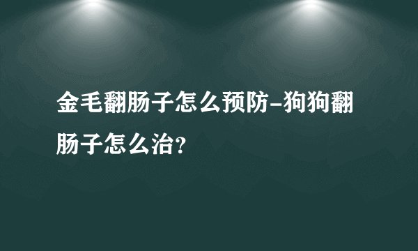 金毛翻肠子怎么预防-狗狗翻肠子怎么治？