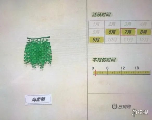 《集合啦动物森友会》海洋生物有哪些?海洋生物价格图鉴