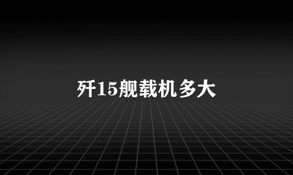 歼15舰载机多大