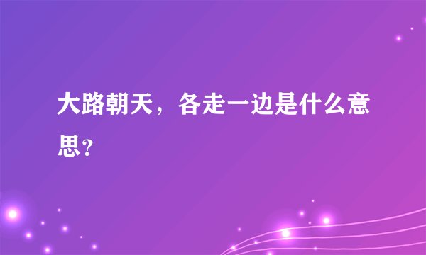 大路朝天，各走一边是什么意思？