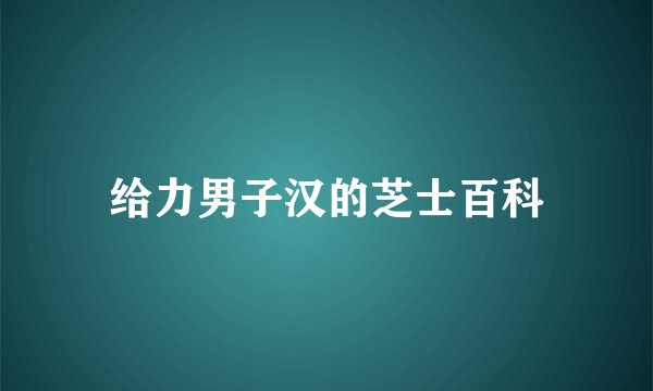 给力男子汉的芝士百科