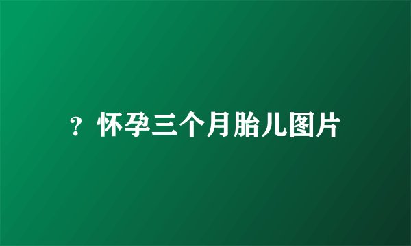？怀孕三个月胎儿图片