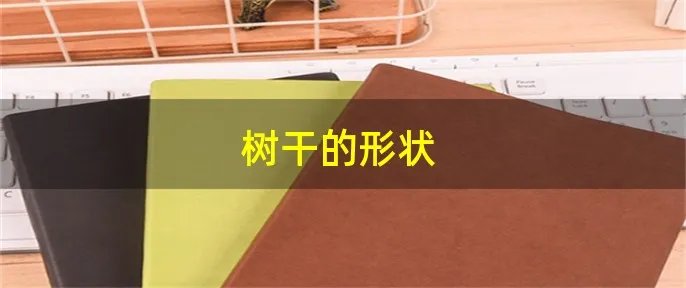 树干的形状