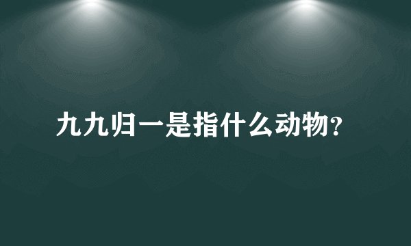 九九归一是指什么动物？
