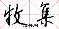 收集